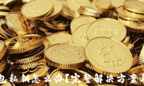 
忘记TP钱包私钥怎么办？完整解决方案与注意事项