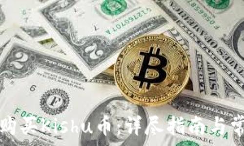   
TP钱包如何购买Kishu币：详尽指南与常见问题解答