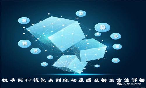 提币到TP钱包未到账的原因及解决方法详解