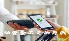: TP钱包流动资金不足的原