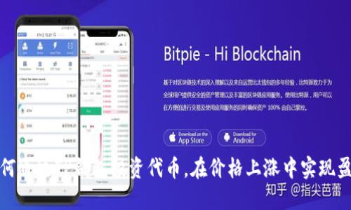 如何通过TP钱包投资代币，在价格上涨中实现盈利