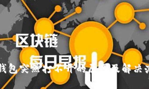 TP钱包突然打不开的原因及解决办法