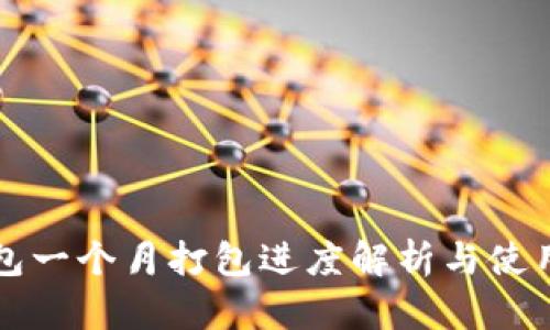 TP钱包一个月打包进度解析与使用指南