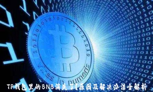 
TP钱包里的BNB消失了？原因及解决办法全解析