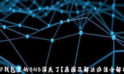 
TP钱包里的BNB消失了？原因及解决办法全解析
